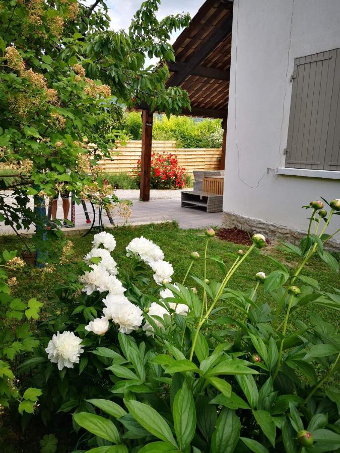 Maison 3 Etoiles Avec Jardin Pour Familles, Sportifs, Curistes... Digne-les-Bains Εξωτερικό φωτογραφία